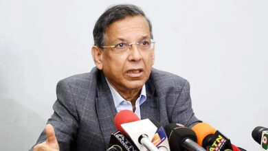 আনিসুল