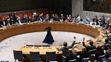 UN Security council
