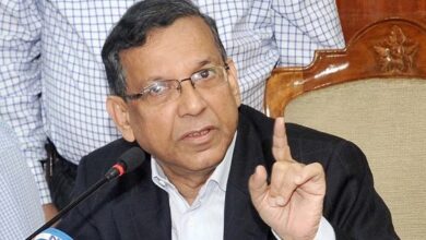 আনিস