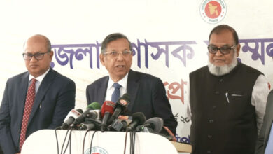আনিসুল