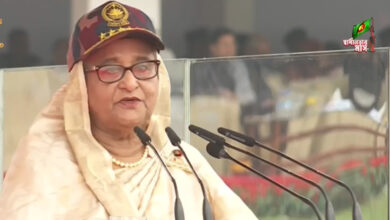 হাসিনা 1