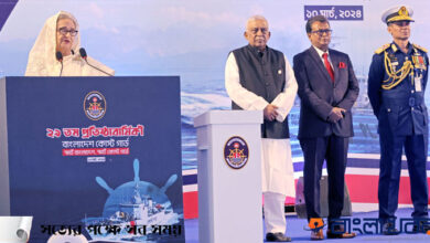 হাসিনা 3