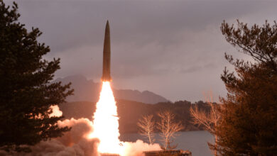 N. korea