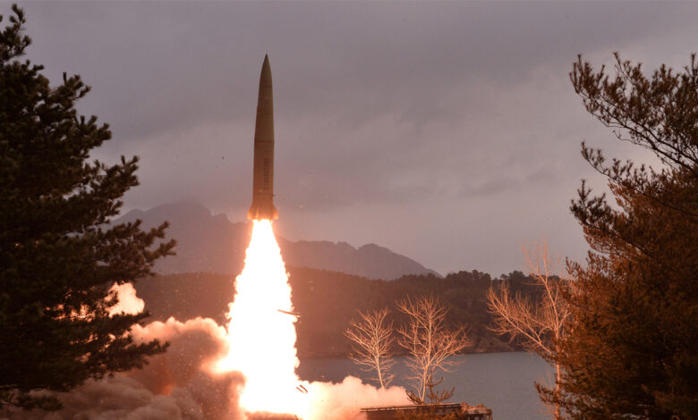 N. korea