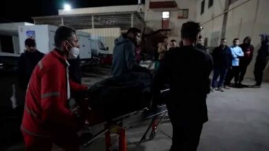 NGO killed