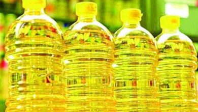 Oil