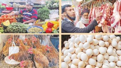vegetable meat egg hen 1
