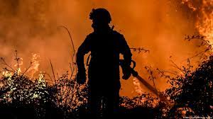 Bush fire