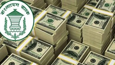 Dollar