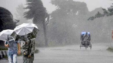 Rain 1