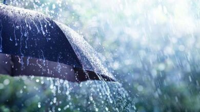 Rain