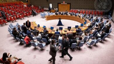 UN security council