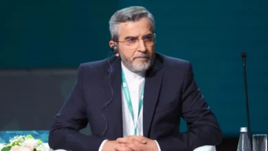 bagheri kani