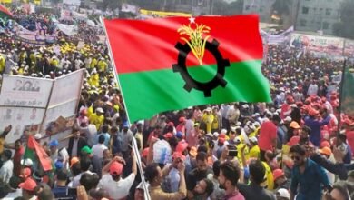 bnp
