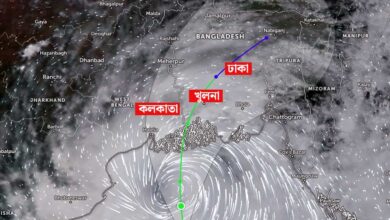 forecast