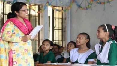 primary teacher