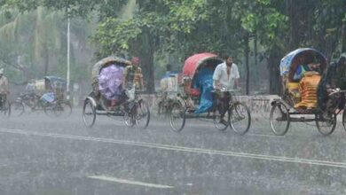 rain rain