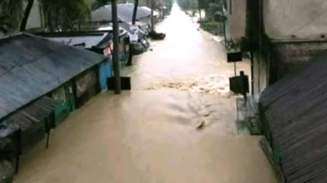 Feni 1