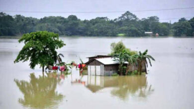 assam