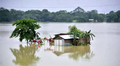 assam