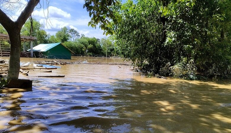 ফেনীতে ১৭ মরদেহ উদ্ধার 1 feni flood