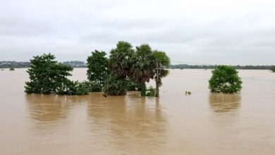 flood 2
