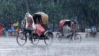 Rain 1