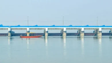 Teesta baragejpg