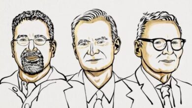 Nobel economics