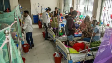 dengue