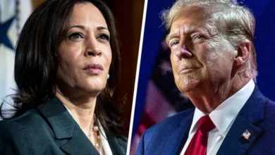 kamala harris donald trump