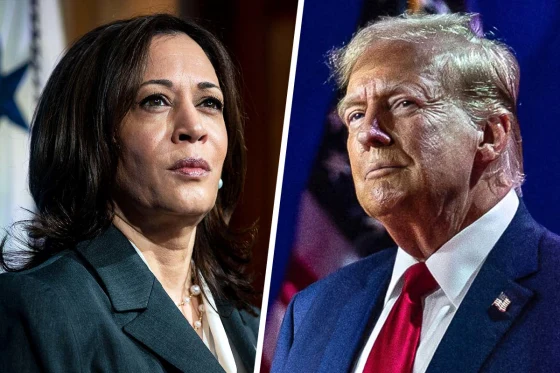 kamala harris donald trump