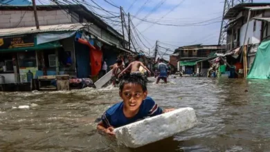 COP 29