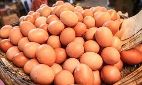 Egg