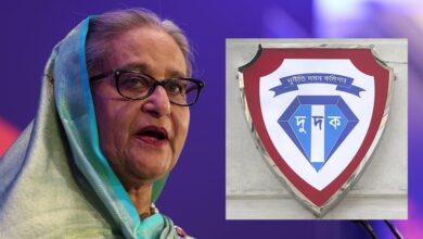 dudok hasina