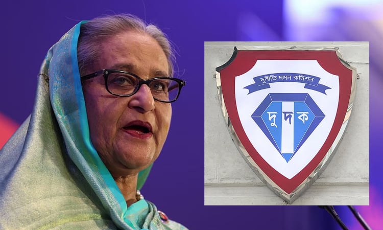 dudok hasina