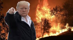 Dabanol Trump