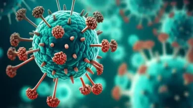 HMP virus