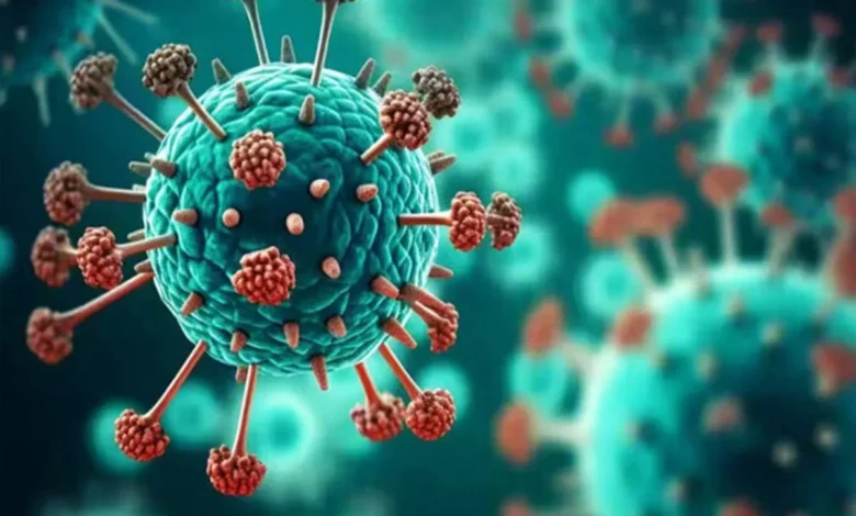 HMP virus
