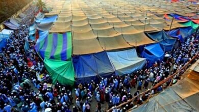 ijtema