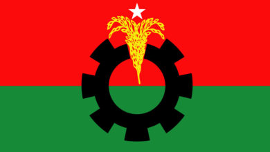 BNP logo