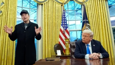 Elon mask trump