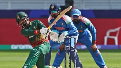 Jua cricket