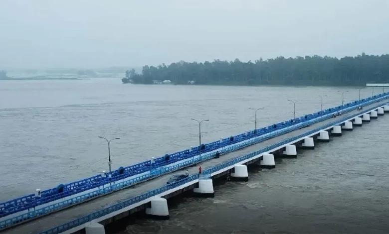 Teesta mohaporikolpona