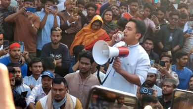 sarjis gazipur