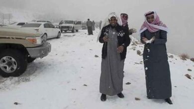 saudi cold