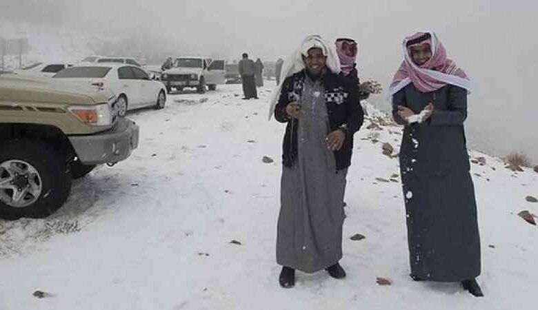 saudi cold