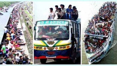 bus train lonch
