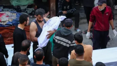 gaza444