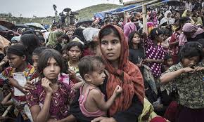 rohingya 1